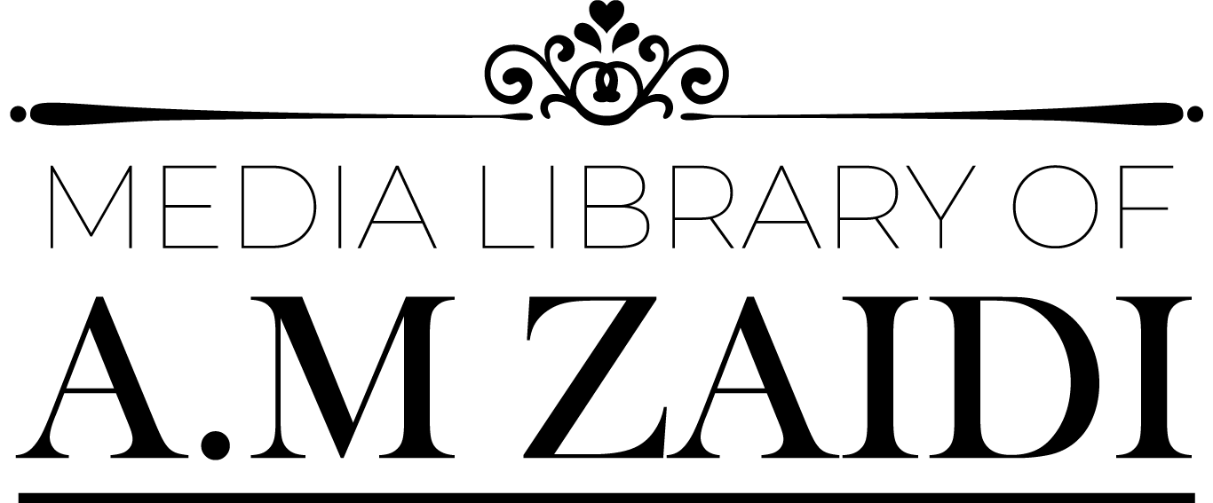 Am-Zaidi Client Logo